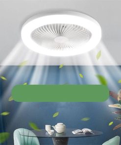 Modern fan and lighting