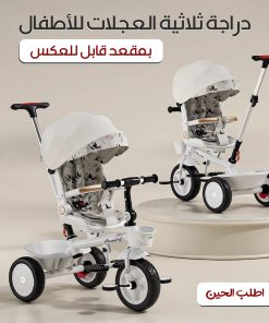 Kids Tricycle with Reversible Seat
