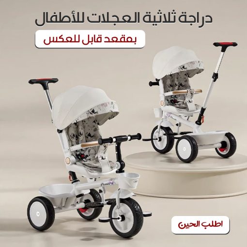 Kids Tricycle with Reversible Seat