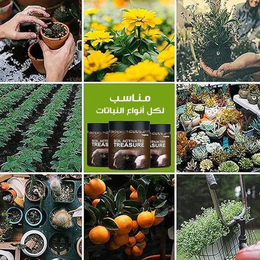 منشط تربة سويل اكتفيتد تريجر 200 جرام - Image 3