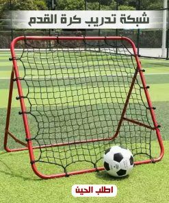شبكة تدريب كرة القدم