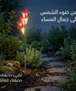 زهور زينة بالطاقة الشمسية تضيء