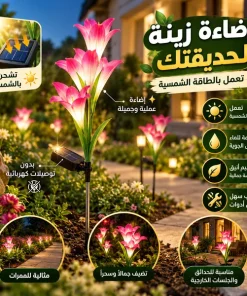 ⁦زهور زينة بالطاقة الشمسية تضيء⁩ - الصورة ⁦9⁩