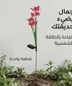 ⁦زهور زينة بالطاقة الشمسية تضيء⁩ - الصورة ⁦7⁩