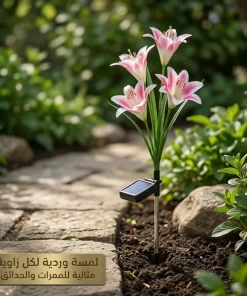 ⁦زهور زينة بالطاقة الشمسية تضيء⁩ - الصورة ⁦3⁩