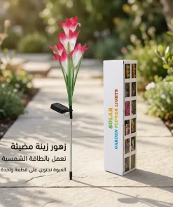 ⁦زهور زينة بالطاقة الشمسية تضيء⁩ - الصورة ⁦5⁩