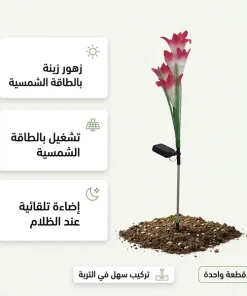 ⁦زهور زينة بالطاقة الشمسية تضيء⁩ - الصورة ⁦6⁩