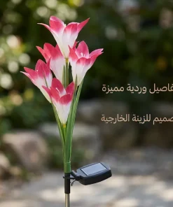⁦زهور زينة بالطاقة الشمسية تضيء⁩ - الصورة ⁦4⁩